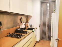 The Holland Collection (D10), Apartment #241206641